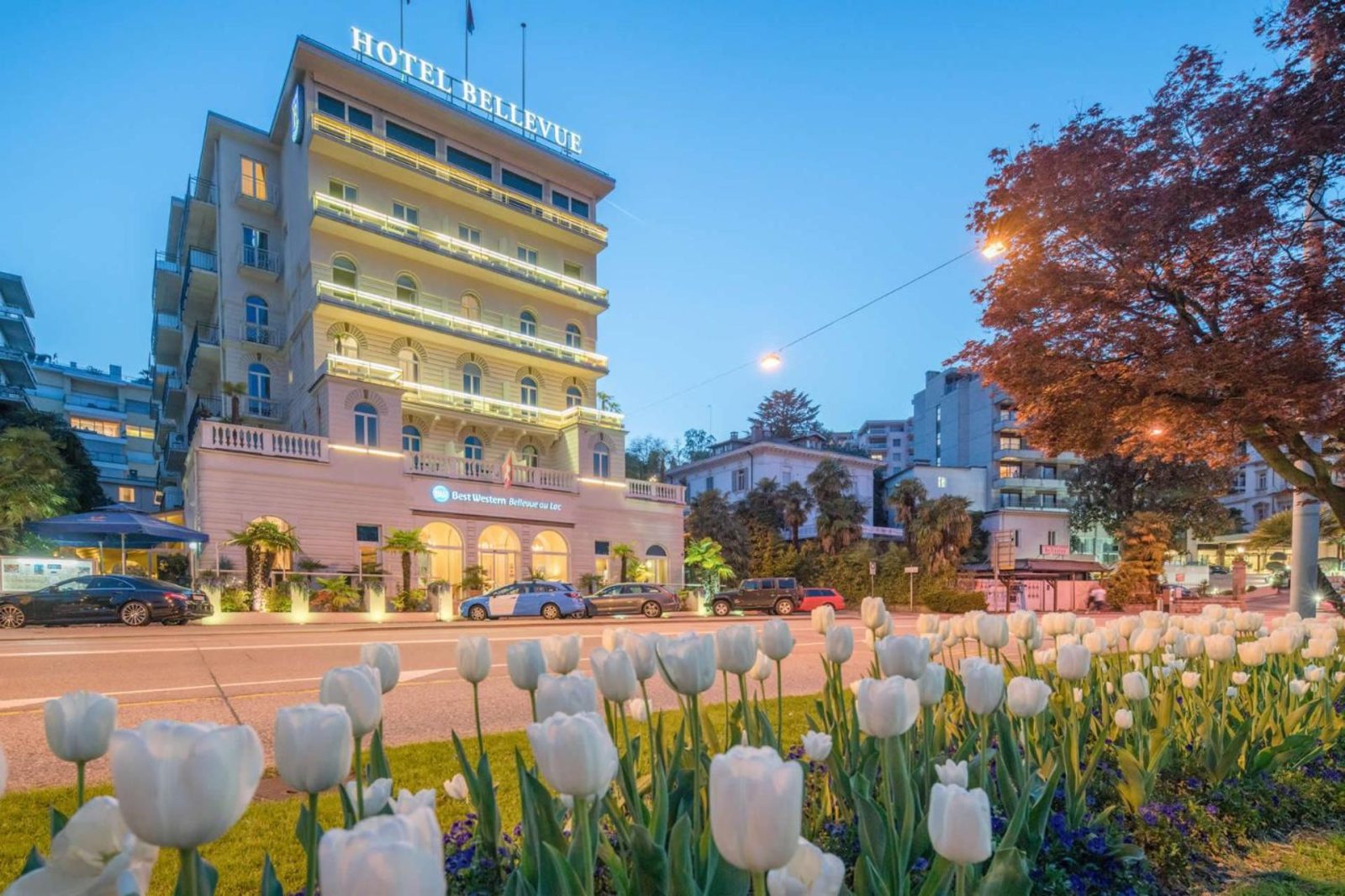 Best Western Hotel Bellevue au Lac — photo 2
